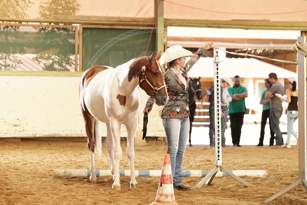 s_K3F03264.JPG